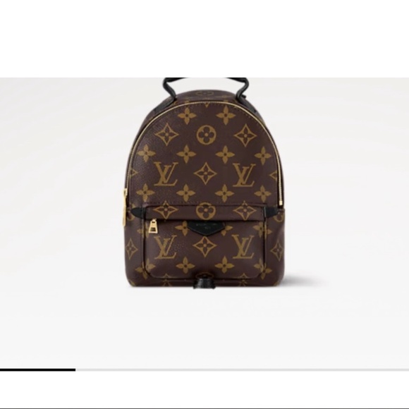 Louis Vuitton Palm Springs Mini - Picture 4 of 4